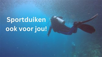 Start to Dive - Atlanta Pelt