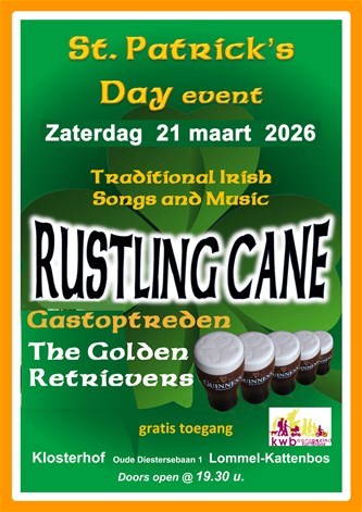 Saint Patrick's Day Event