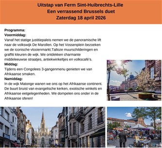 Uitstap naar Brussel
