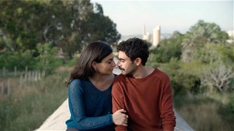 Zebracinema: A Sad and Beautiful World