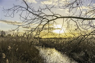Zonnewendewandeling met zonnekijkers