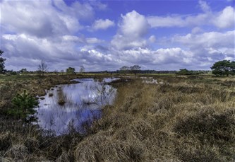 Unieke vennenwandeling