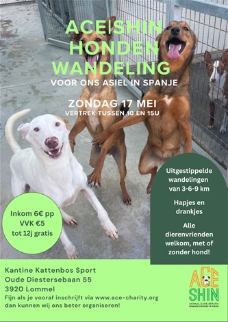 ACE|SHIN Hondenwandeling