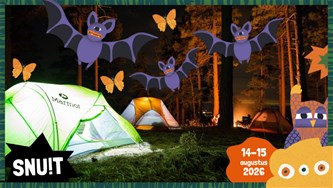 Snuit-activiteit: Nacht van de Vleermuis