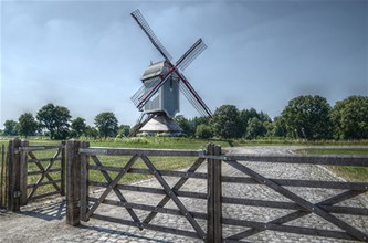 Ontdek de Kattenrijten in Kattenbos!