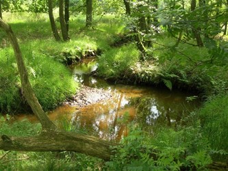 Ademtocht: Even weg uit de drukte