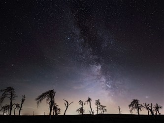 Nachtfotografie in de natuur