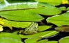 Natuurspeurdertjes...