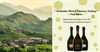 Wine tasting met Foss Marai & Live muzie