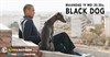 ELAN Filmavonden: 'Black Dog'