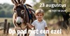 Op pad met een ezel!