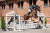 Jumping manege dagen van het paard