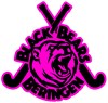 Opendeurdag Black Bears Beringen