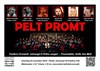 Pelt Promt 2025