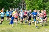 Boseindrun