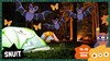 Snuit-activiteit: Nacht van de Vleermuis