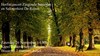 Herfstconcert zingende senioren